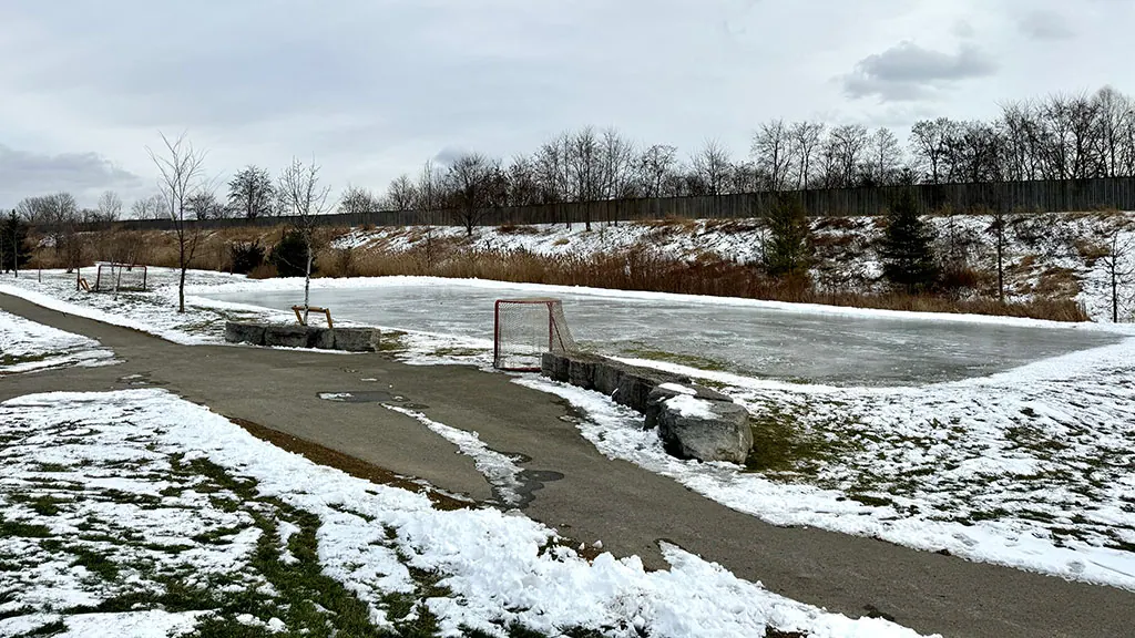Ground-level view of Fernwood Park