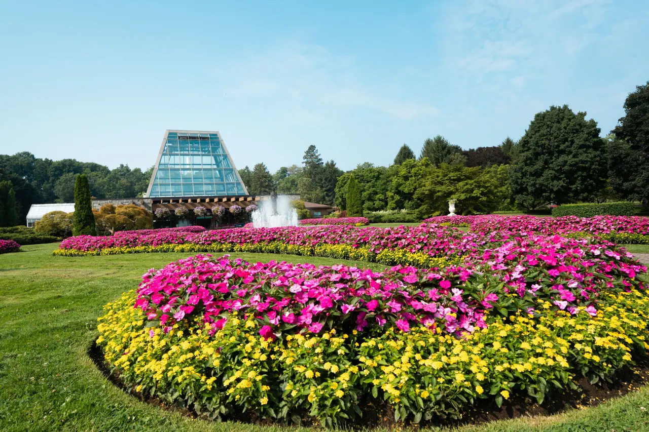 Ground-level view of Floral Showhouse Gardens