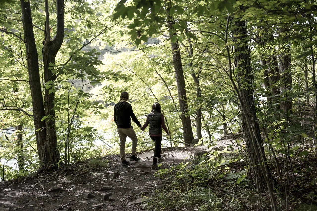 Ground-level view of Niagara Glen
