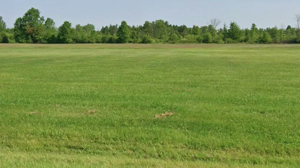 Ground-level view of Willoughby Centennial Park