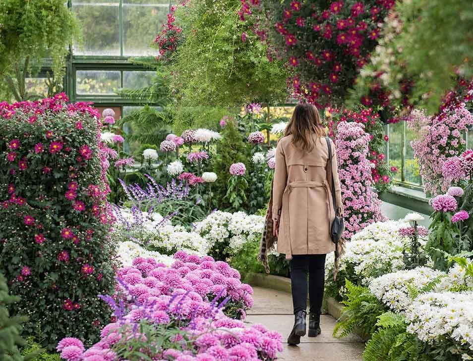 A floral display inside the Floral Showhouse. This source photo does not verify the October 2026 display.