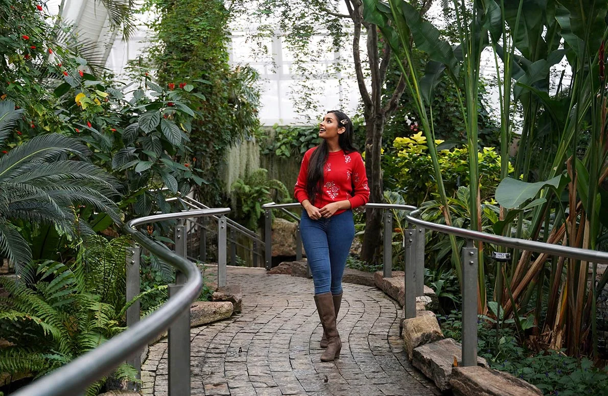 Tropical plants and pathways inside the Butterfly Conservatory.